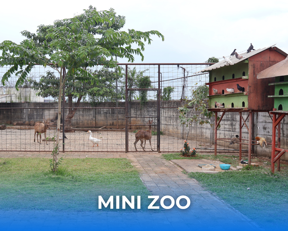 Mini Zoo